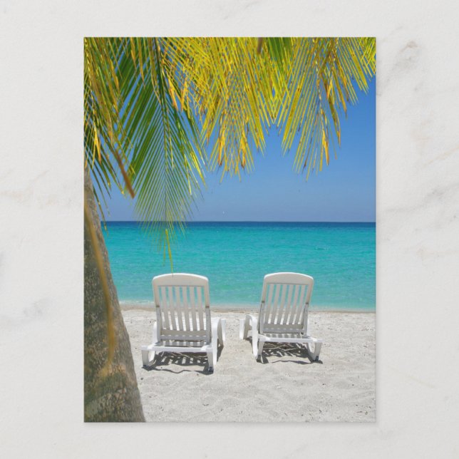 Tropical paradise beach in the Caribbean Postcard (Front)