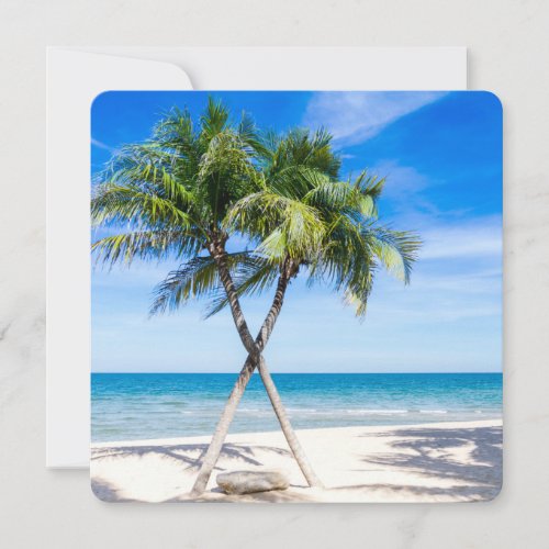 Tropical Paradise Beach Palm Destiny DestinyS