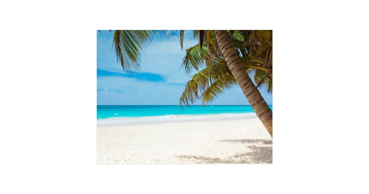 Tropical Paradise Beach Postcard | Zazzle.com