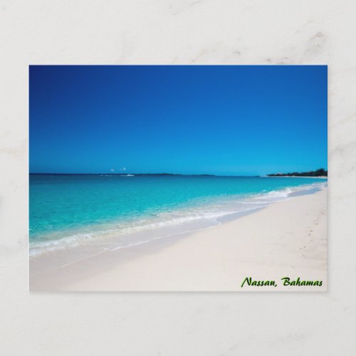 Tropical Paradise Beach Postcard