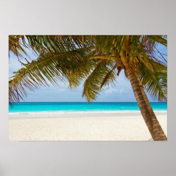 Tropical Paradise Beach Poster by Amazing_Posters at Zazzle