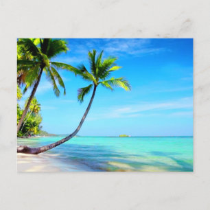 Tropical Paradise Beautiful Beach and Palm Trees  Postcard