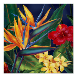 Tropical Paradise Hawaiian Floral Poster