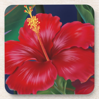 Tropical Paradise Hawaiian Hibiscus Coasters
