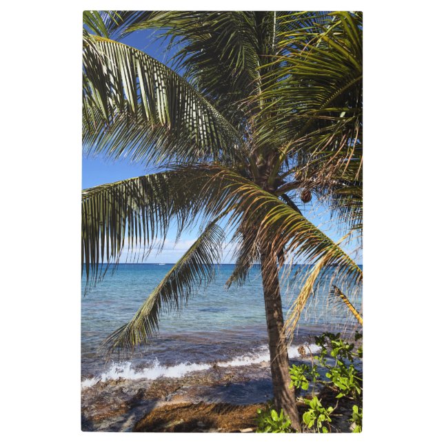 Tropical Paradise - Palm Tree Metal Print (Front)