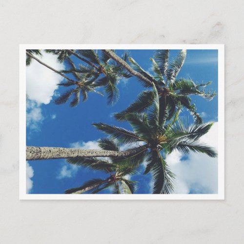 Tropical Paradise Palm Trees Postcard