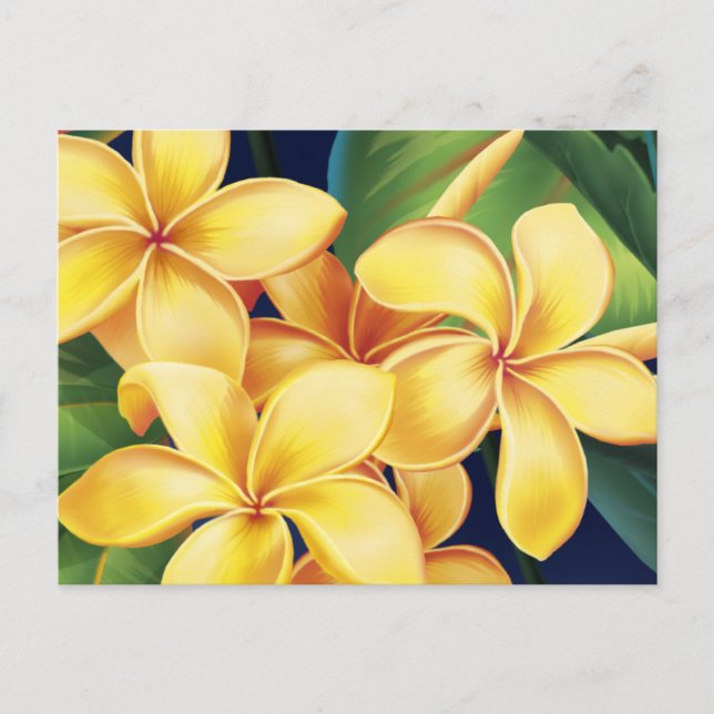 Tropical Paradise Plumeria Postcard (Front)