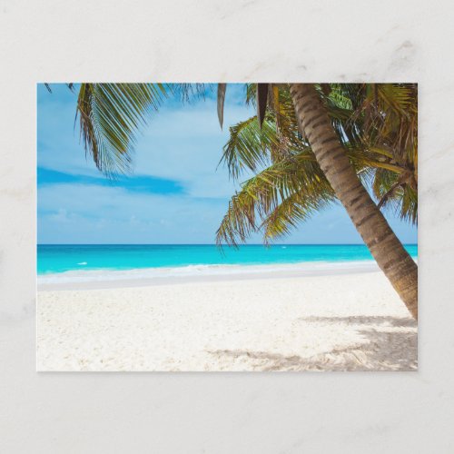 Tropical Paradise Postcard