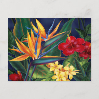 Tropical Paradise Postcard