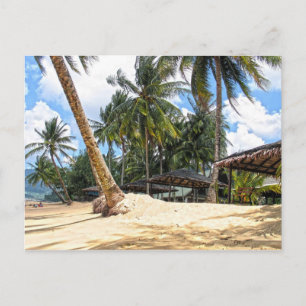 Tropical Paradise Postcard