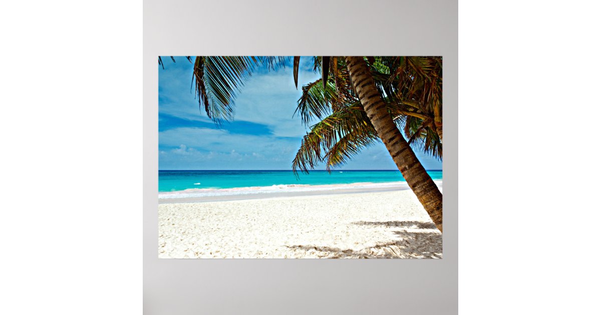 Tropical Paradise Poster | Zazzle