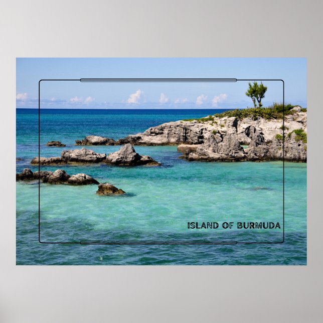 Tropical Paradise Poster (Front)