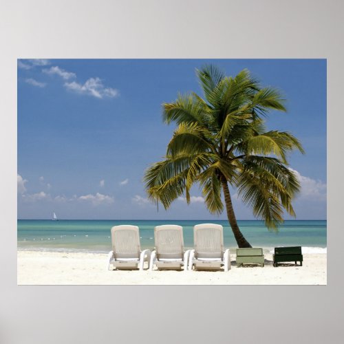 Tropical Paradise Poster