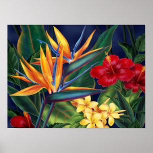 Tropical Paradise Posters