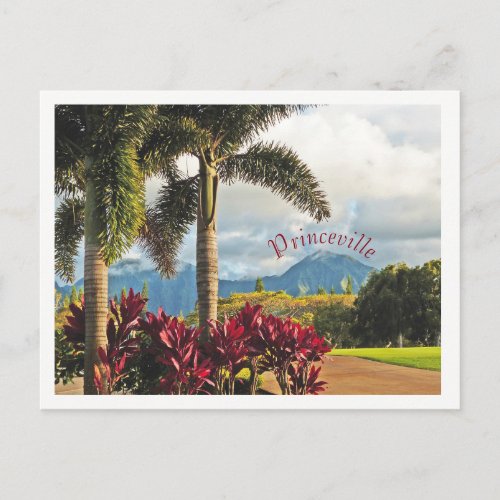 Tropical ParadisePrinceville Kauai Postcard