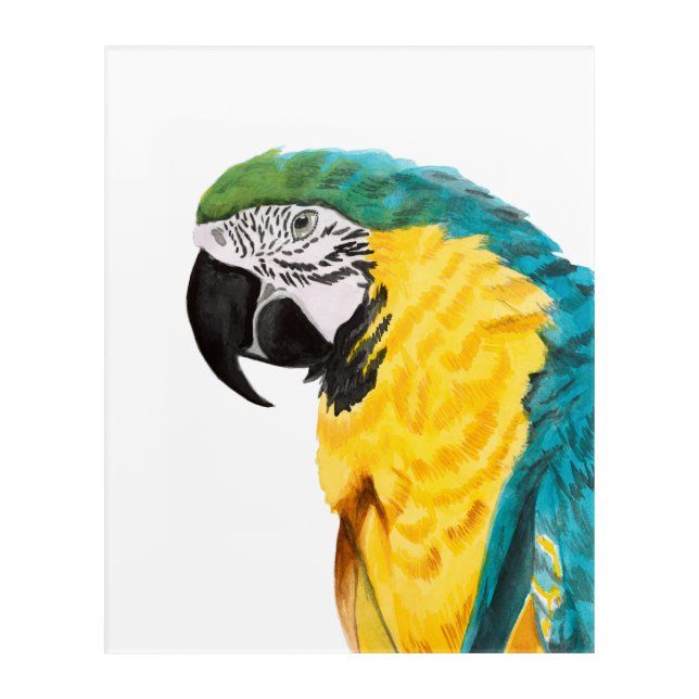 Tropical Parrot Bird Acrylic Print (Front)