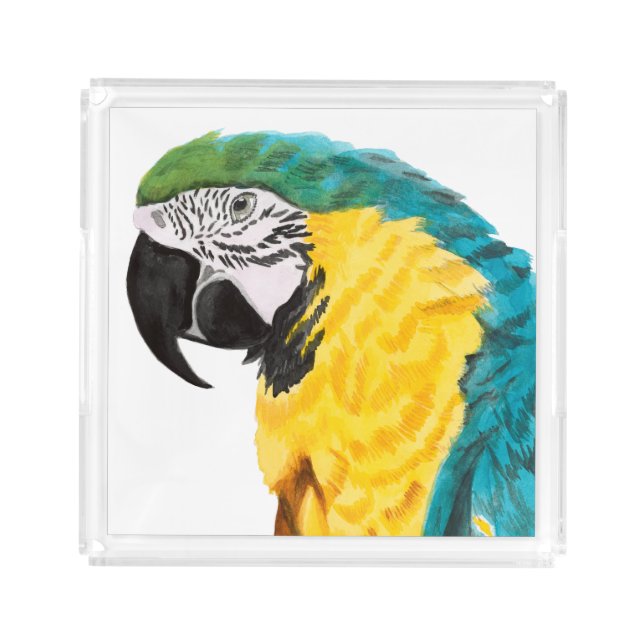 Tropical Parrot Bird Acrylic Tray (Front)