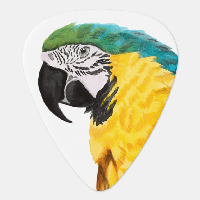 Tropical Parrot Bird Guitar Pick (Front)