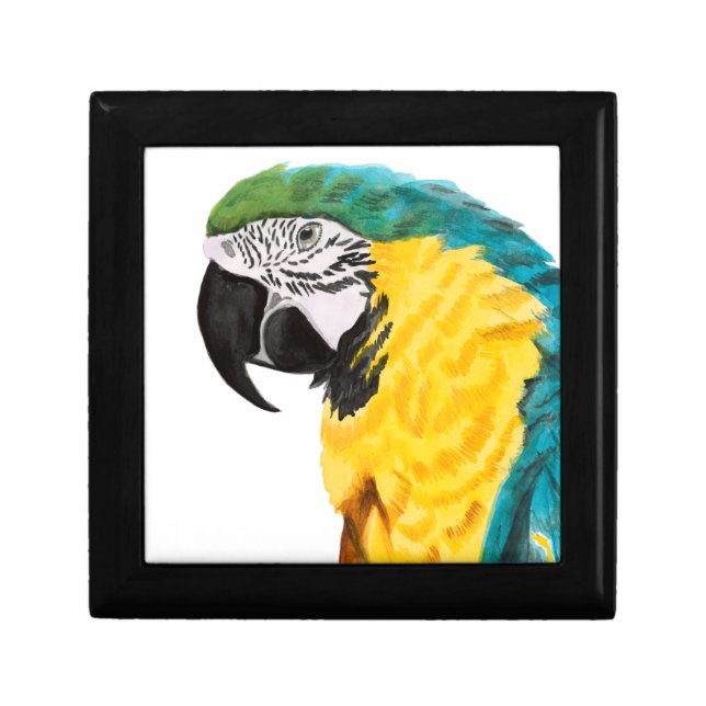 Tropical Parrot Bird Keepsake Box (Front)