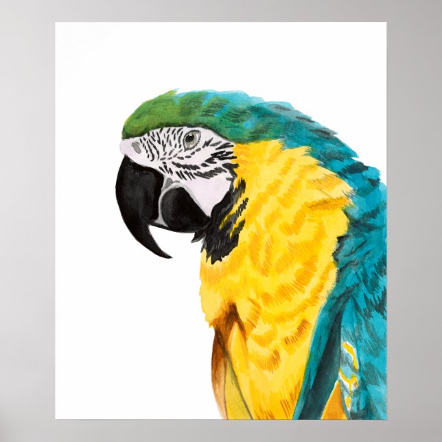 Tropical Parrot Bird Poster (Front)