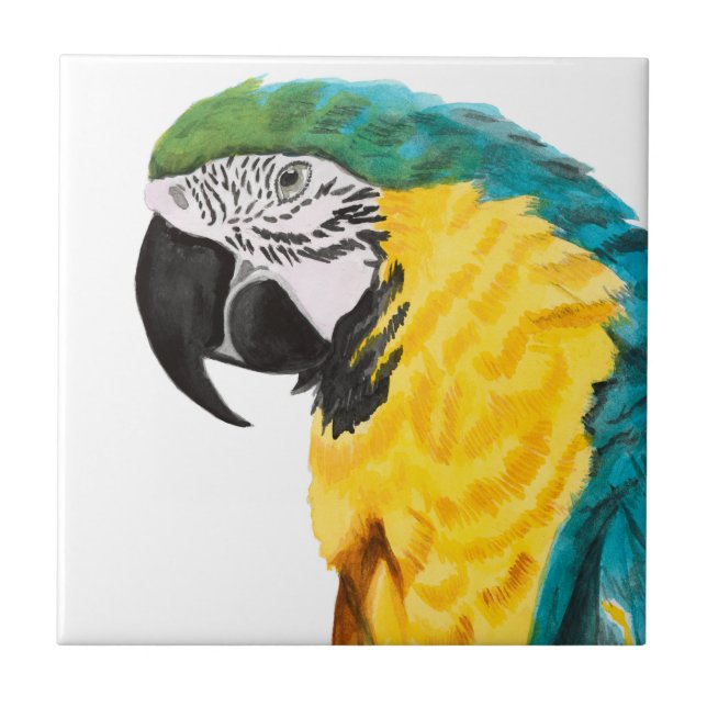 Tropical Parrot Bird Tile (Front)
