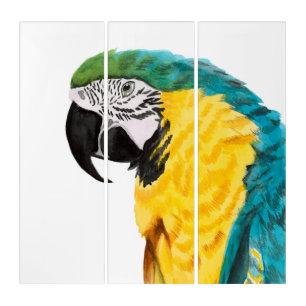 Tropical Parrot Bird Triptych