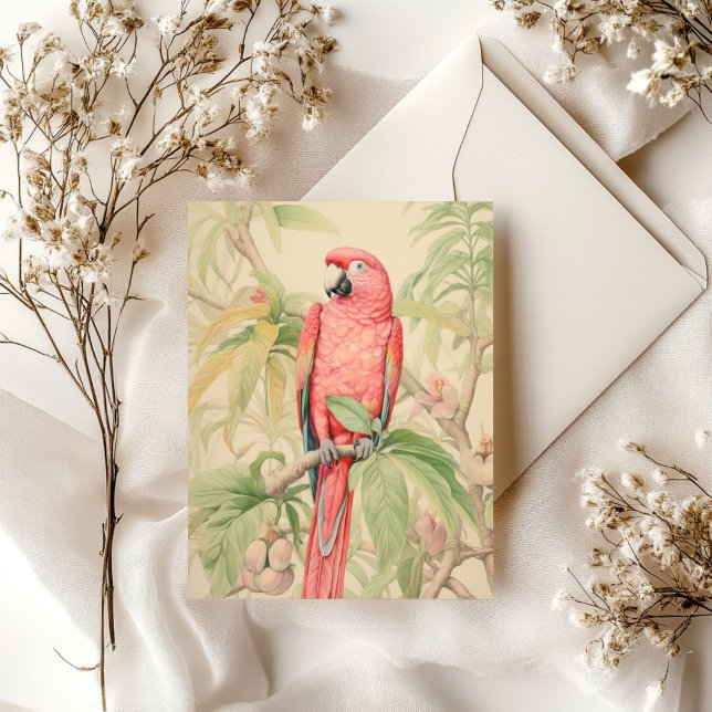 TROPICAL PARROT IN PASTEL COLORS POSTCARD (Creator Uploaded)