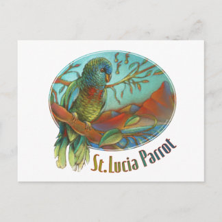 Tropical Parrot of St Lucia Postcard