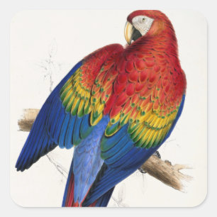 Tropical Parrot Stickers
