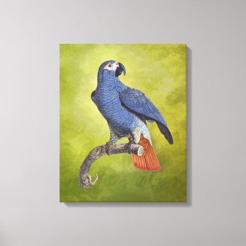 Tropical Parrot Vintage Illustration Canvas Print