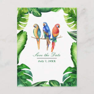 Tropical Parrots Birds & Leaves Save the Date Announcement Postcard