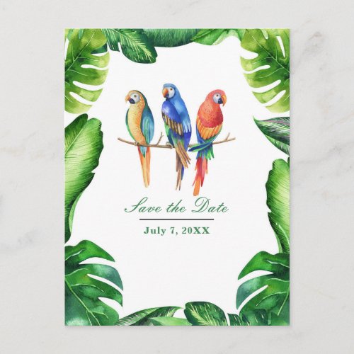 Tropical Parrots Birds  Leaves Save the Date Announcement Postcard