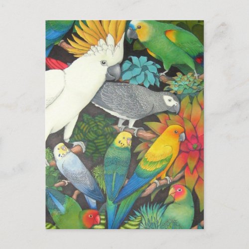 Tropical Parrots  Bromeliads Postcard