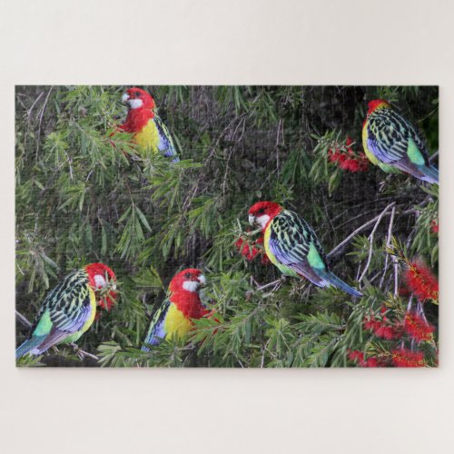 Tropical Parrots Eastern Rosella Birds Jigsaw Puzzle