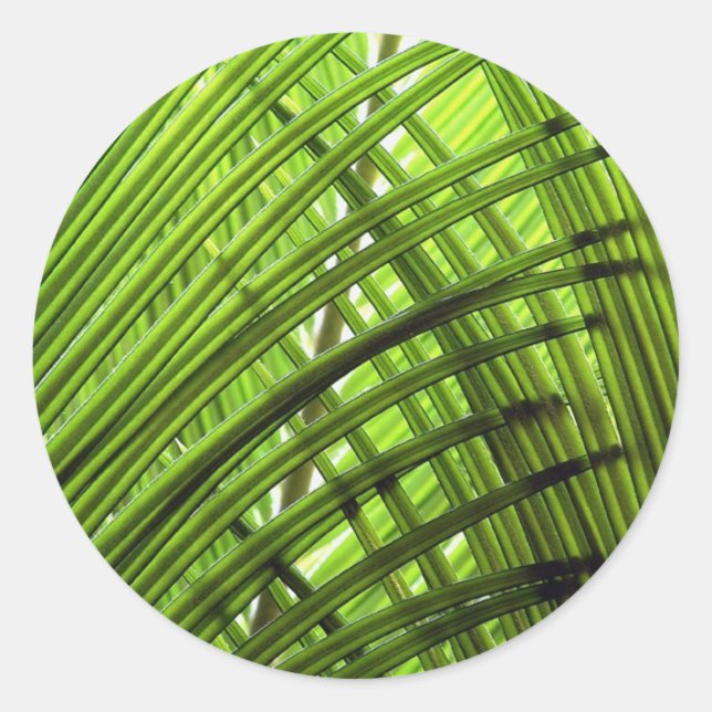 Tropical Pattern Classic Round Sticker (Front)