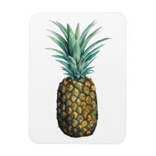 Tropical Pineapple Watercolor Magnet