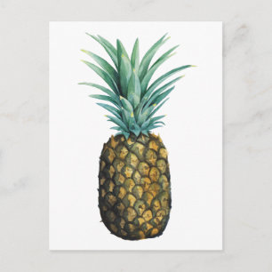 Tropical Pineapple Watercolor Postcard
