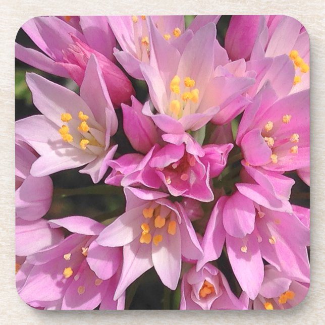 Tropical Pink and Yellow Flowers Drink Coaster (Front)