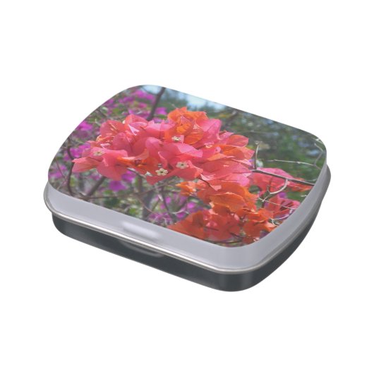 Tropical Pink Bougainvillea Candy Tin (Side)