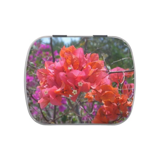 Tropical Pink Bougainvillea Candy Tin (Top)