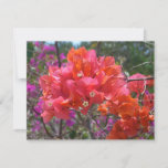 Tropical Pink Bougainvillea Island Floral