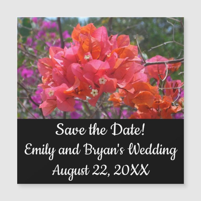 Tropical Pink Bougainvillea Island Floral (Front)