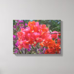 Tropical Pink Bougainvillea Island Floral Canvas Print