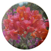Tropical Pink Bougainvillea Island Floral Chocolate Covered Oreo (Front)