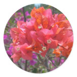 Tropical Pink Bougainvillea Island Floral Classic Round Sticker