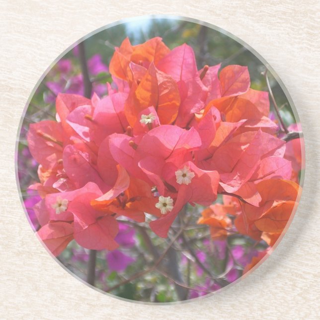 Tropical Pink Bougainvillea Island Floral Drink Coaster (Front)