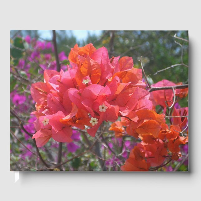 Tropical Pink Bougainvillea Island Floral Guest Book (Front)
