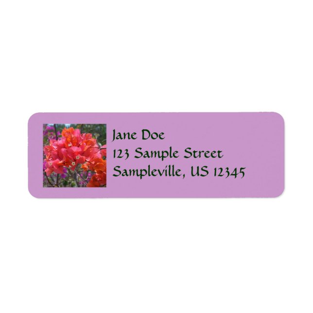 Tropical Pink Bougainvillea Island Floral Label (Front)