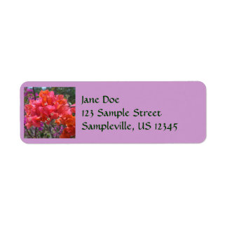 Tropical Pink Bougainvillea Island Floral Label