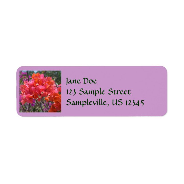 Tropical Pink Bougainvillea Island Floral Label (Front)